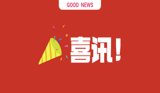 雙環