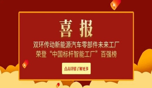 雙環