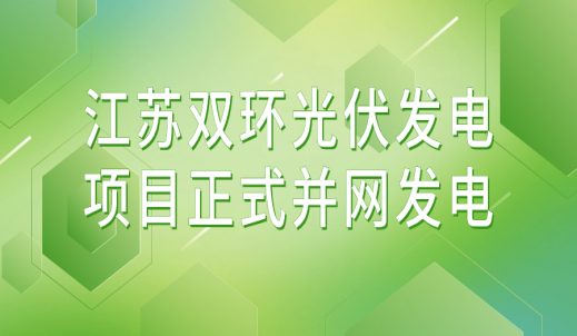 雙環
